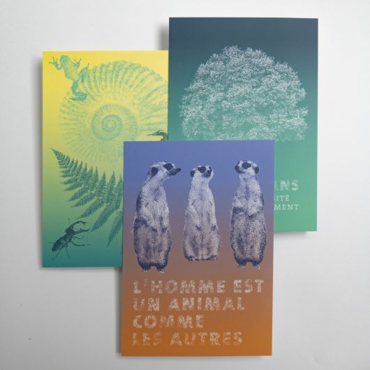 Mobe cartes postales made in france ©© polygonia