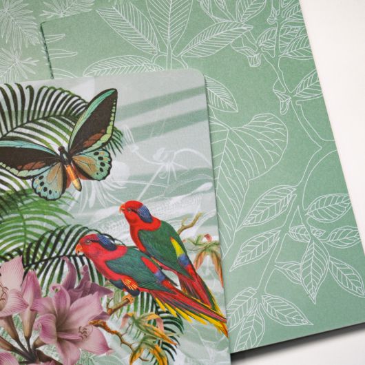 Jungle – cahiers de différents modèles © Polygonia – Clairefontaine