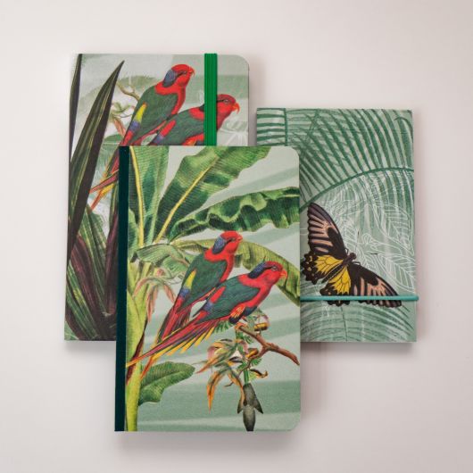 Jungle – petits carnets © Polygonia – Clairefontaine