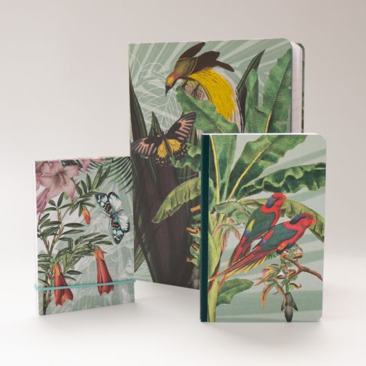 Jungle – cahiers de différents modèles © Polygonia – Clairefontaine