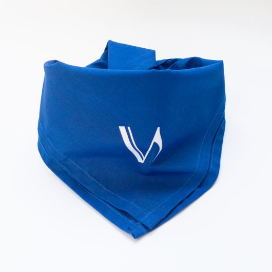 Verbier festival - foulard © polygonia